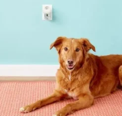Calm Home Diffusor 48 ml til hund Plejemidler Til Hund Med Fokus På Sundhed Og Velvære|Pleje Af Hvalpe - Alt I Plejemidler Til Pels, Poter Og Hud