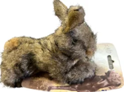 Best AFP Brun Kanin Lille 15x10 cm - nuttet hundebamse til små hunde Hundelegetøj Til Alle Hunde Leg Og Aktivering Året Rundt|Legetøj Til Hvalpe - Sjov Leg, Aktivering Og Tryghed Fra Første Dag