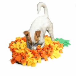 Outlet AFP Snusemåtte Ananas til hund 63x42x4 cm Hundelegetøj Til Alle Hunde Leg Og Aktivering Året Rundt|Legetøj Til Hvalpe - Sjov Leg, Aktivering Og Tryghed Fra Første Dag