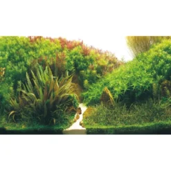Online Akvariebaggrund Beplantet flod / Grønne klipper (30 cm høj) 60 cm Akvariebaggrunde