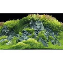 Best Akvariebaggrund Beplantet flod / Grønne klipper (50 cm høj) 100 cm Akvariebaggrunde