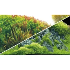 Best Akvariebaggrund Beplantet flod / Grønne klipper (50 cm høj) 100 cm Akvariebaggrunde