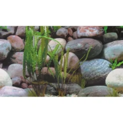 New Akvariebaggrund Sten 1/2 (50 cm høj) 100 cm Akvariebaggrunde