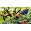 Outlet Akvariebaggrund Wood Island / Green secret (50 cm høj) 100 cm Akvariebaggrunde