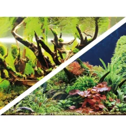 New Akvariebaggrund Wood Island / Green secret (60 cm høj) pr meter Akvariebaggrunde