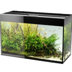 Best Akvarium Glossy 150 Sort 472 Liter Akvarieborde Og Akvariereoler|Akvarier