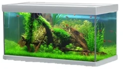 Best Fusion 325 liter akvarium Akvarier