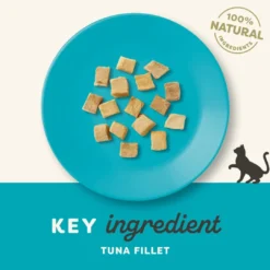 Online Applaws Kattegodbid Frysetørret Tun 10 gram Kattefoder & Snacks|Killingesnacks - Sunde Godbidder Til Killinger