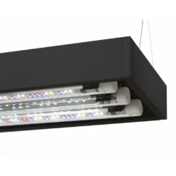 Clearance Akvarie og Lampe Ultra Scape 60 Forest Akvarier