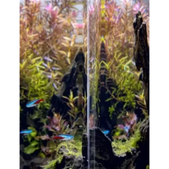 Hot Akvarie Opti Bent Sort 30 Liter Akvarier