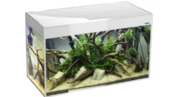 Clearance Glossy akvarie i Hvid 120 cm 260 Liter Akvarier