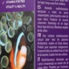 Outlet Fish V 50 ml Fiskefoder Til Saltvandsfisk