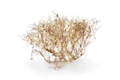 New Aquascaping Root 35-45 cm Aquascaping|Dekoration Til Terrarier