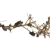 Clearance Aquascaping Root 25-35 cm Aquascaping|Dekoration Til Terrarier