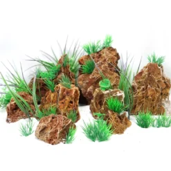 Best Aquascaping sten Maple Leaf pr kg Aquascaping