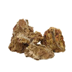 Best Aquascaping sten Maple Leaf pr kg Aquascaping