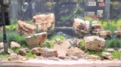 Aquascaping sten Red Multilayer pr kg Aquascaping|Dekoration Til Terrarier