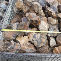 Discount AquaScaping sten Wood Fossil pr kg Aquascaping|Dekoration Til Terrarier