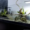 New Aqua Terrarium 80x35x30,5 cm til Sumpskildpadder Terrarier Og Terrarielamper