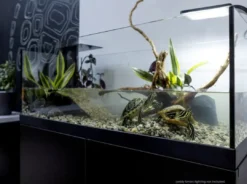 Hot Aqua Terrarium 100x35x40,5 cm til Sumpskildpadder Terrarier Og Terrarielamper