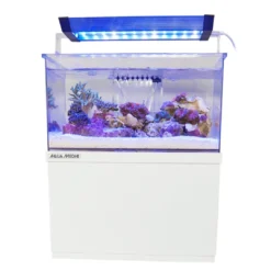 Online Armatus XS Saltvandsakvarium med sump 4 Liter Akvarier Til Saltvandsfisk|Akvarier