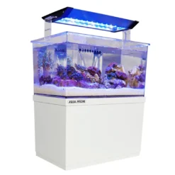 Online Armatus XS Saltvandsakvarium med sump 4 Liter Akvarier Til Saltvandsfisk|Akvarier