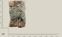 Best Modul C Basalt granit Akvariebaggrunde