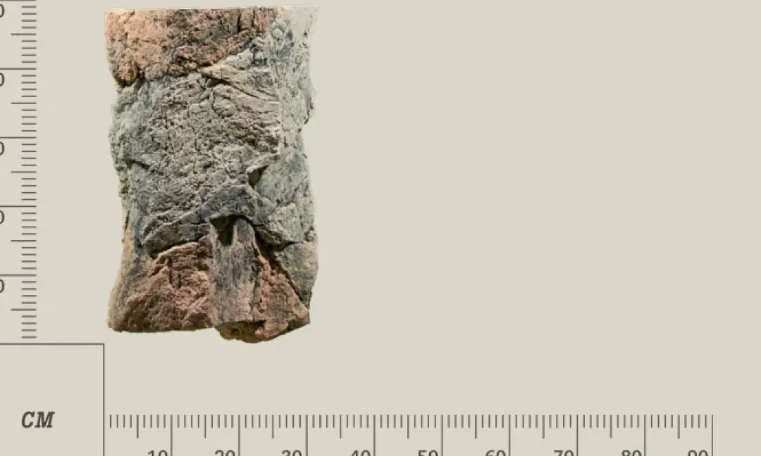 Best Modul C Basalt granit Akvariebaggrunde
