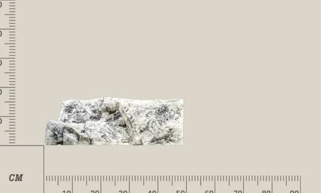 New Modul C Kalk Akvariebaggrunde