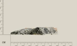 Clearance Modul E Basalt granit Akvariebaggrunde