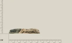 Discount Modul F Basalt granit Akvariebaggrunde