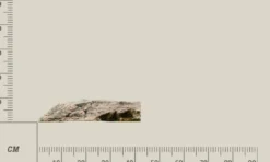 Clearance Modul G Basalt granit Akvariebaggrunde