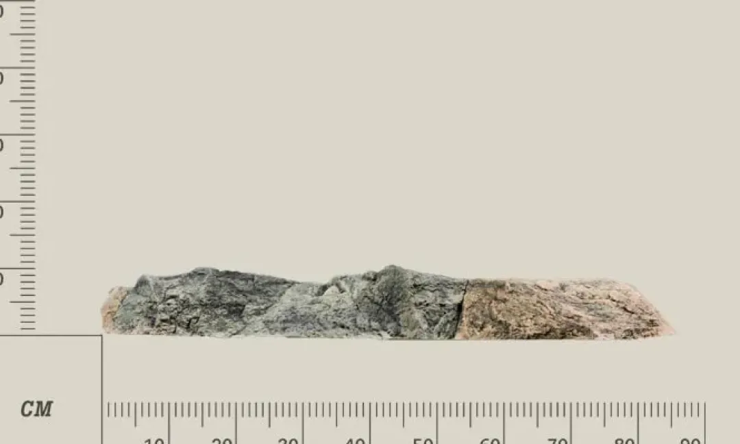 Clearance Modul G Basalt granit Akvariebaggrunde