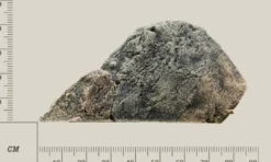 Discount Modul H Basalt granit Akvariebaggrunde