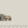 Best Modul O Basalt granit Akvariebaggrunde