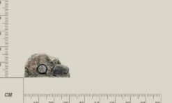 Discount Modul T (filtermodul) Basalt granit Akvariebaggrunde