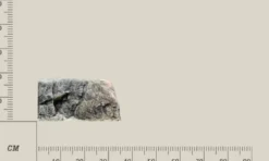 Discount Modul T (filtermodul) Basalt granit Akvariebaggrunde