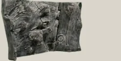 Online Orinoco Juwel 100x47 cm Akvariebaggrunde
