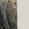 Online Slim-Line 60 A Amazone (50x55 cm) Akvariebaggrunde|Dekoration Til Terrarier