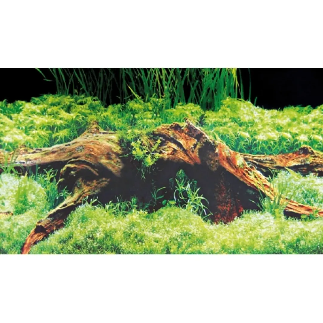 Baggrund til akvarium Beplantet og mos (50 cm høj) 100 cm Akvariebaggrunde