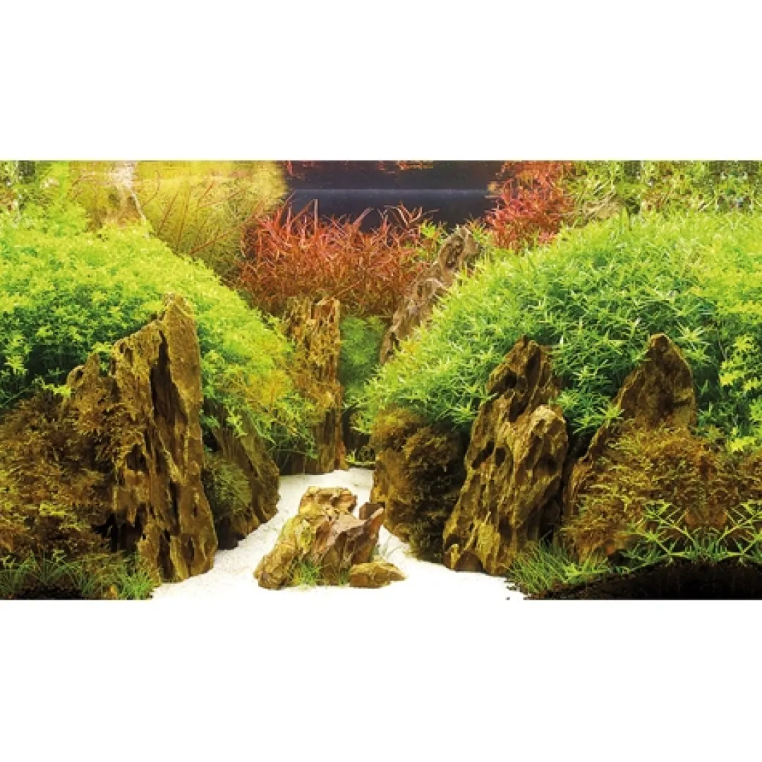 Hot Baggrund til akvarium Canyon og Woodland (50 cm høj) 100 cm Akvariebaggrunde