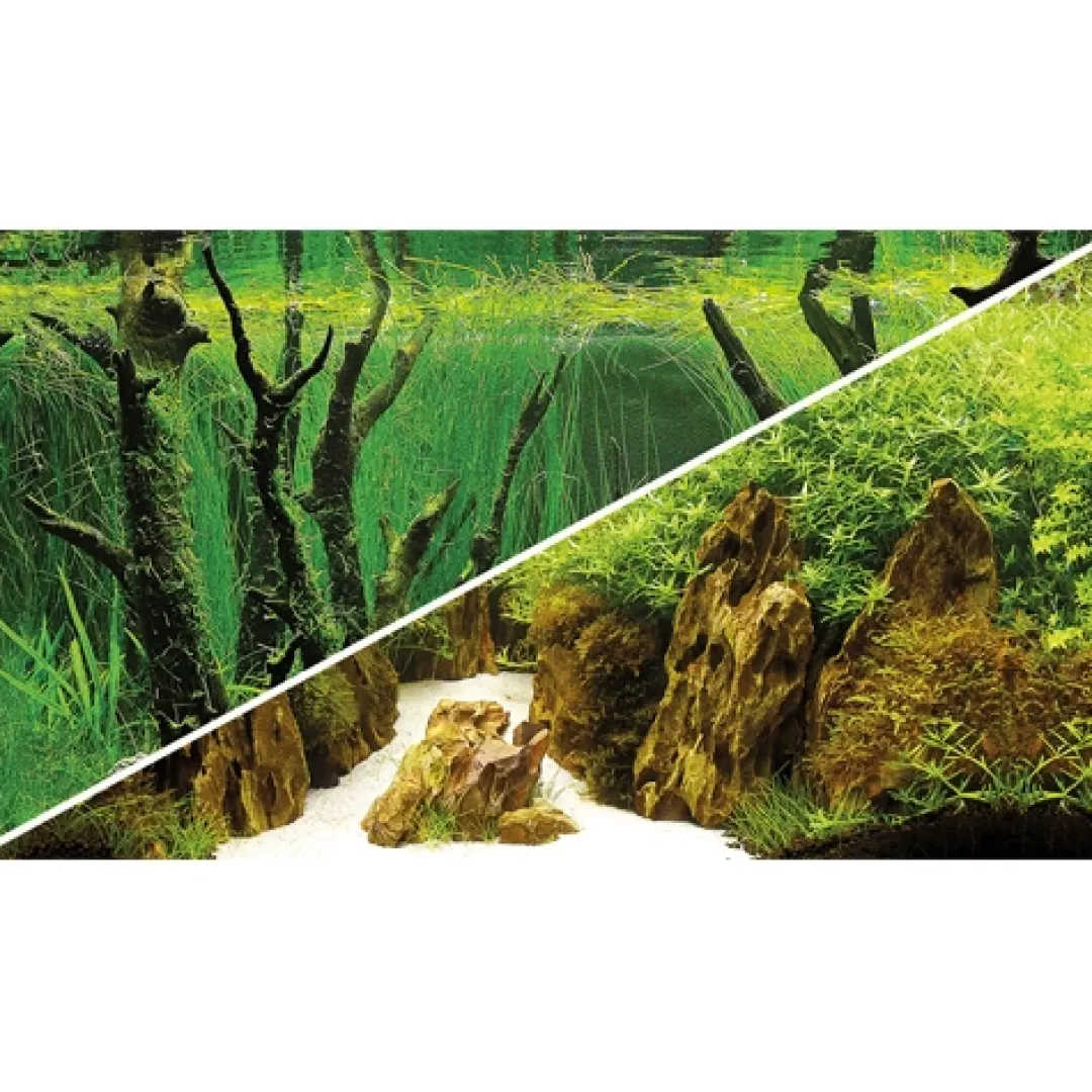 Hot Baggrund til akvarium Canyon og Woodland (50 cm høj) 100 cm Akvariebaggrunde