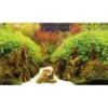 Best Baggrund til akvarium Canyon og Woodland (50 cm høj) 120 cm Akvariebaggrunde