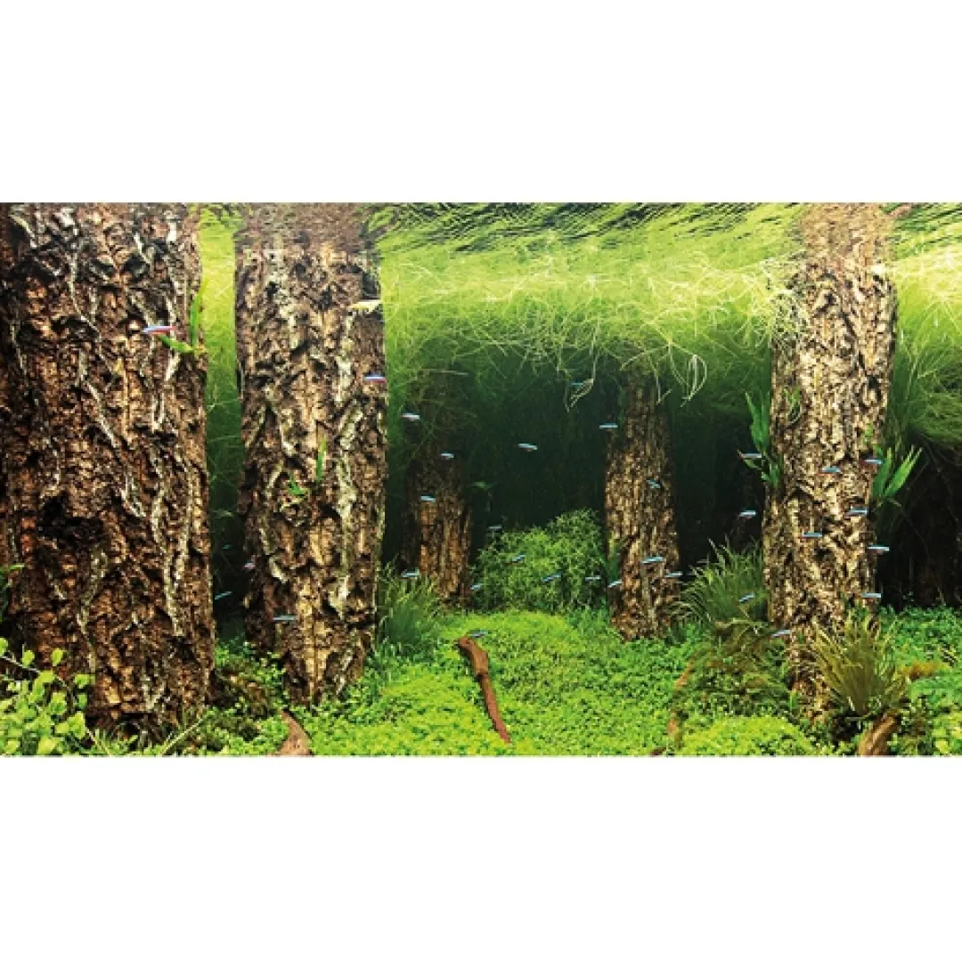 Hot Baggrund til akvarium Scapers Hill og forest (30 cm høj) 60 cm Akvariebaggrunde