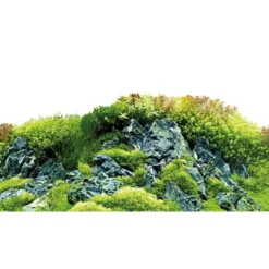 Hot Baggrund til akvarium Scapers Hill og forest (30 cm høj) 60 cm Akvariebaggrunde