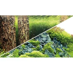Discount Baggrund til akvarium Scapers Hill og forest (50 cm høj) 120 cm Akvariebaggrunde
