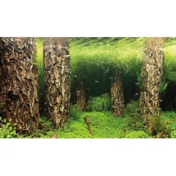 Discount Baggrund til akvarium Scapers Hill og forest (50 cm høj) 120 cm Akvariebaggrunde