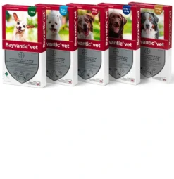 Outlet hund 25-40 kg 4 x 4,0 ml Plejemidler Til Hund Med Fokus På Sundhed Og Velvære