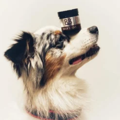 Best B&B Sølvsalve 60 ml Plejemidler Til Hund Med Fokus På Sundhed Og Velvære|Pleje Af Hvalpe - Alt I Plejemidler Til Pels, Poter Og Hud