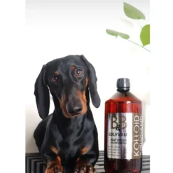 Hot B&B Sølvvand 1 Liter Plejemidler Til Hund Med Fokus På Sundhed Og Velvære|Pleje Af Hvalpe - Alt I Plejemidler Til Pels, Poter Og Hud